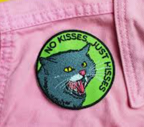 No Hisses Just Kisses