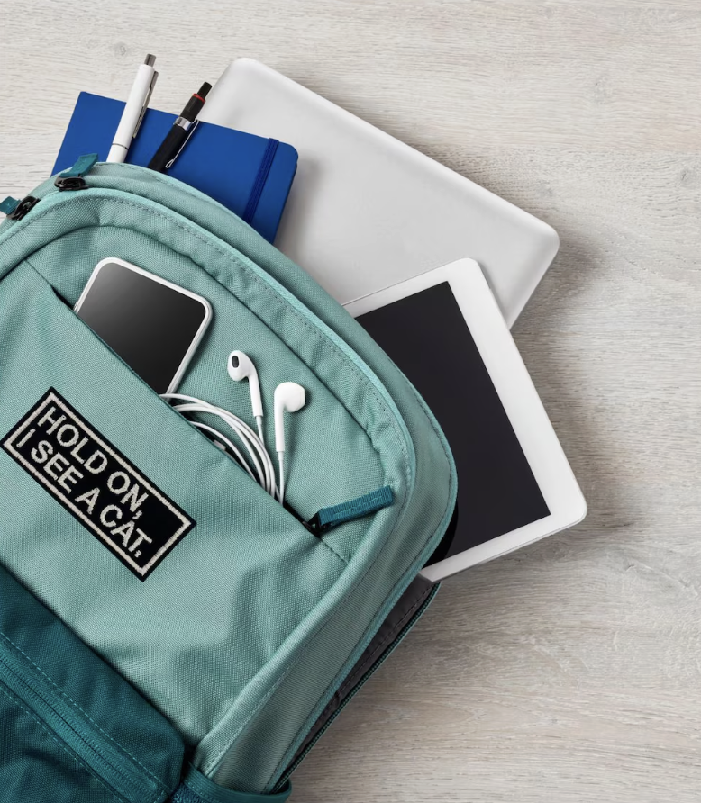 HOLD ON I SEE A CAT - IRON ON CLOTH PATCH